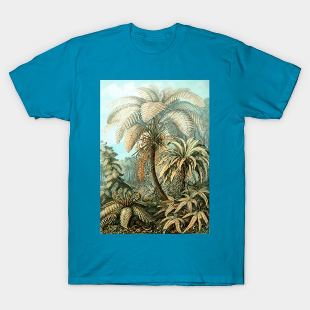 Filicinae by Ernst Haeckel T-Shirt by MasterpieceCafe